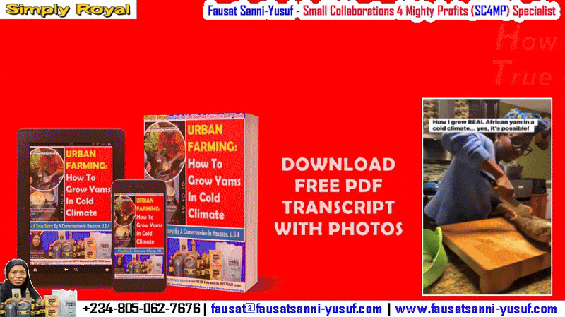 URBAN FARMING: How To Grow Yams In Cold Climate – A True Story By A Nigerian In Houston, U.S.A